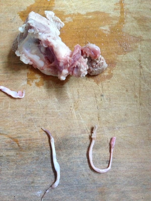 猪肉煮熟后长寄生虫图图片