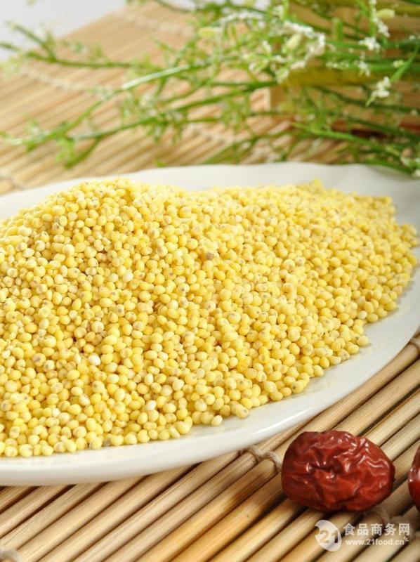 "粟米"的"粟"作为姓怎么读?