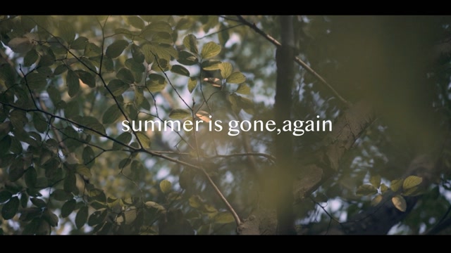 [图]summer is gone