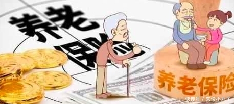 退休后就业退休金