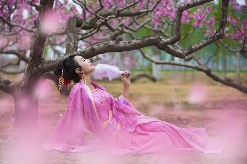 桃花坞里桃花庵,桃花庵下桃花仙,这首诗是什么意思?