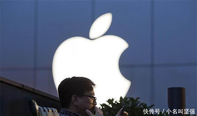 苹果有什么样的苹果