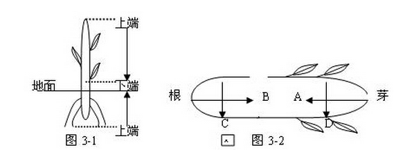 重力影响横向运输么