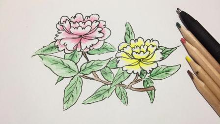 牡丹花简笔画, 美丽高贵的牡丹绘画, 简单容易画!