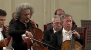 [图]布鲁赫《希伯来晚祷》,麦斯基大提琴演奏,彼得堡爱乐乐团伴奏!