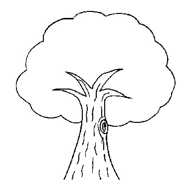 线条画大树 简单图片
