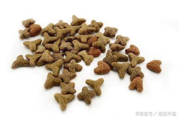 该怎么给自家猫咪挑选猫粮,天然粮和商品粮到