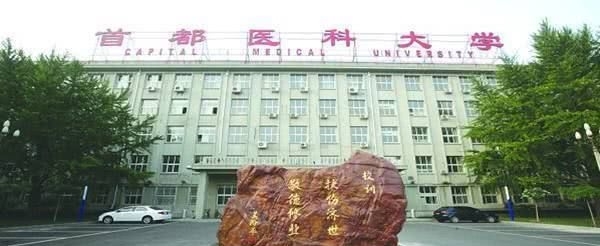 2019国家一流本科专业何时评审