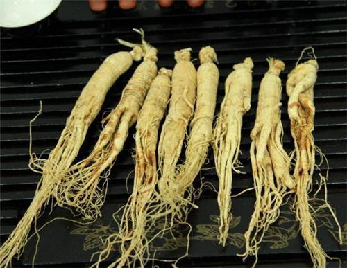 肾结石吃什么中药最管用?