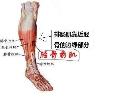 跑步时小腿两侧靠近骨头的地方疼是怎么回事?