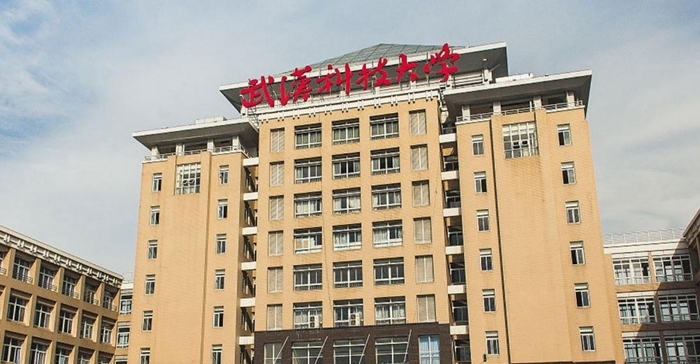 2020校友会排名武汉