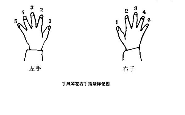 手风琴左手三角指法图图片