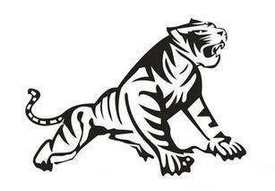 纸老虎指什么样子的人?