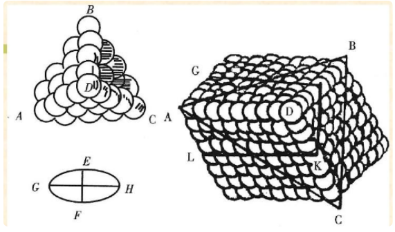 石细胞内部结构图片