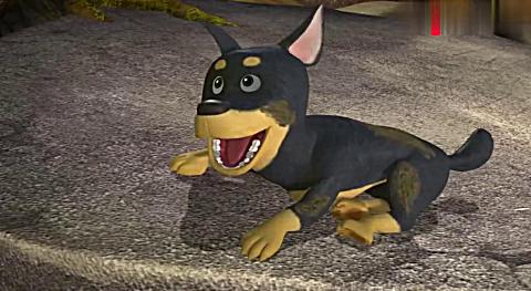 熊出没: 大黑不小心滚下山坡,肥波见死不救,自己心里还洋洋得意