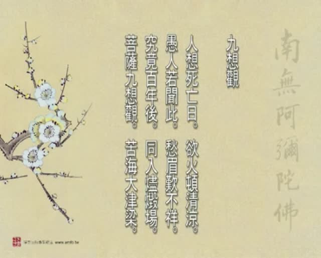 戒色断淫必看:不净观的九种观想(剪辑版)