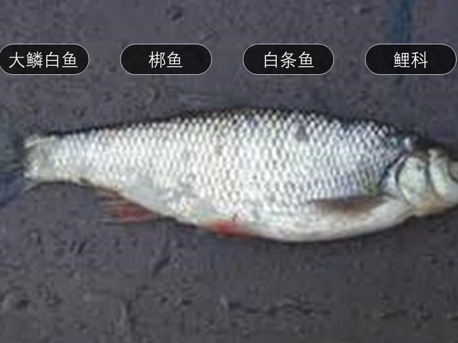 360影视 影视搜索 360影视 影视搜索