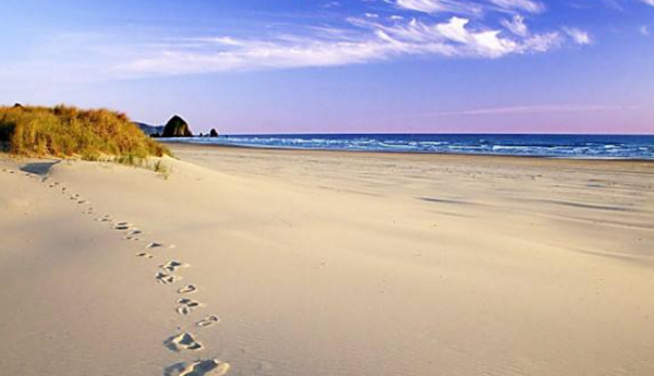 快活的脚印落在沙滩上是什么意思