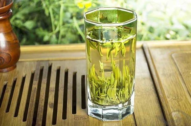 湄潭翠芽：一盏茶里的自然与时间的艺术