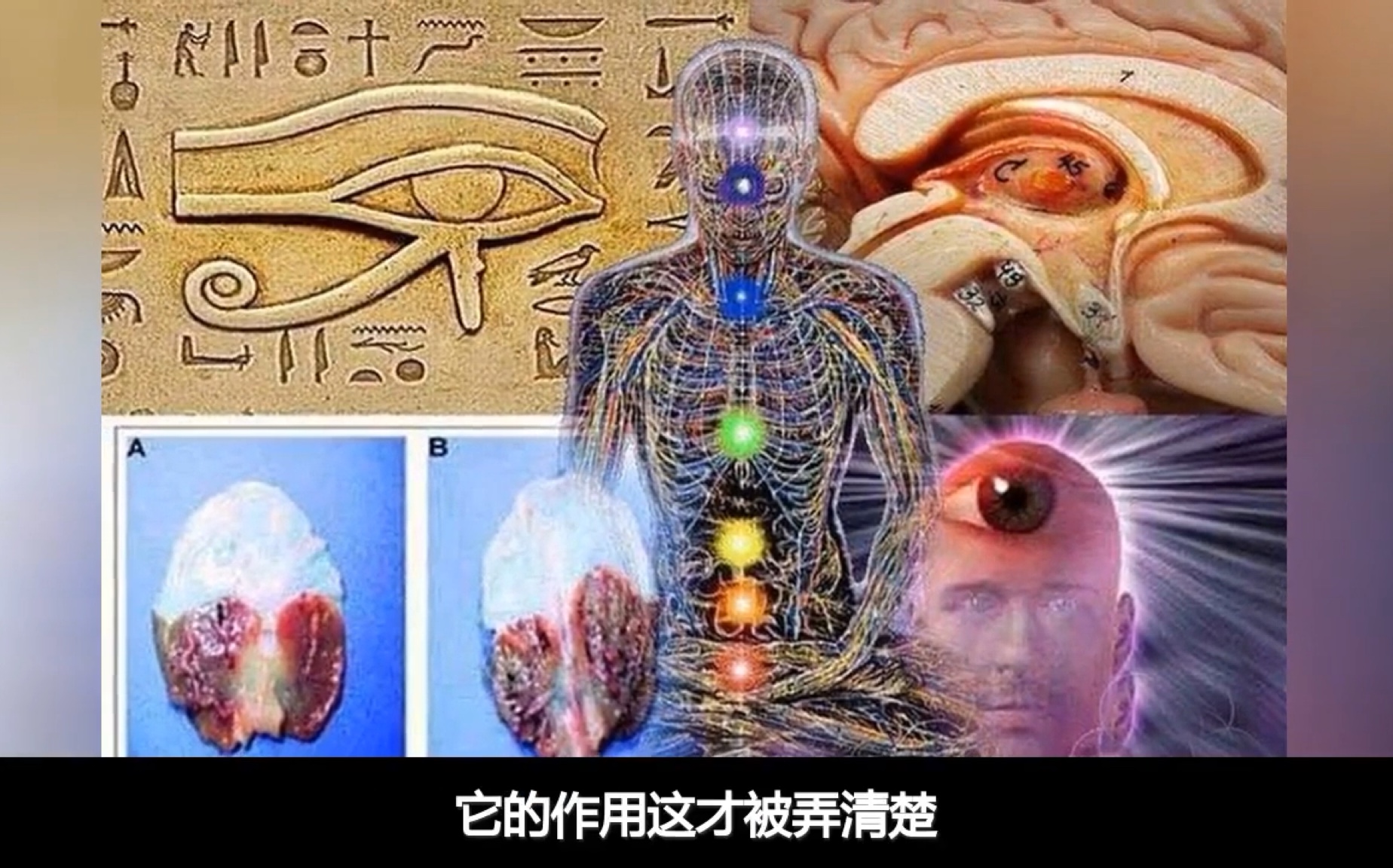 [图]【全球奇闻秘史】科学家证实人类都拥有“第三只眼” 而且每个人超能力都不同