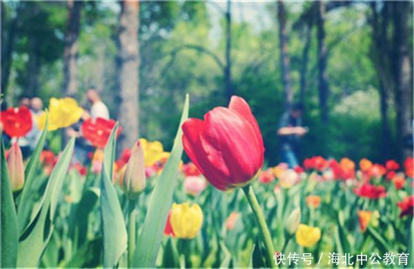 2020考研考完数学