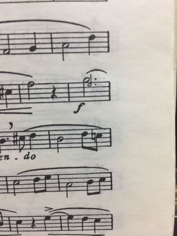 五线谱,一个和弦一样的音符两个符干,符头一大一小是什么意思,怎么唱?