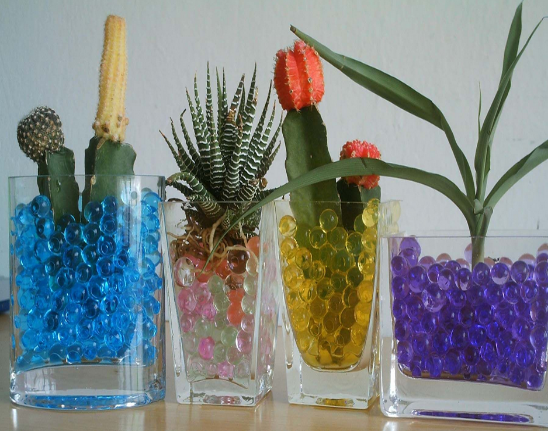 栽种植物时最好让水晶土完全覆盖植物根系.