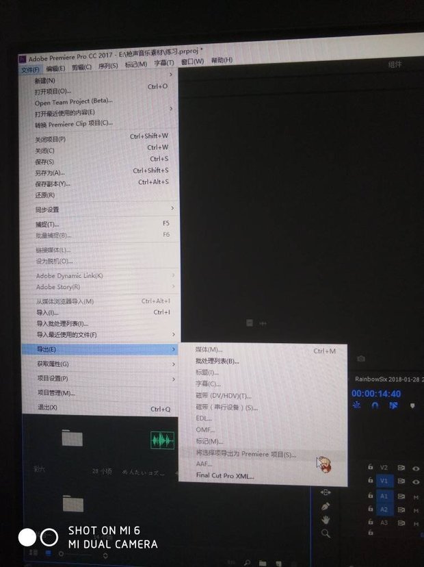 pr怎么保存视频?