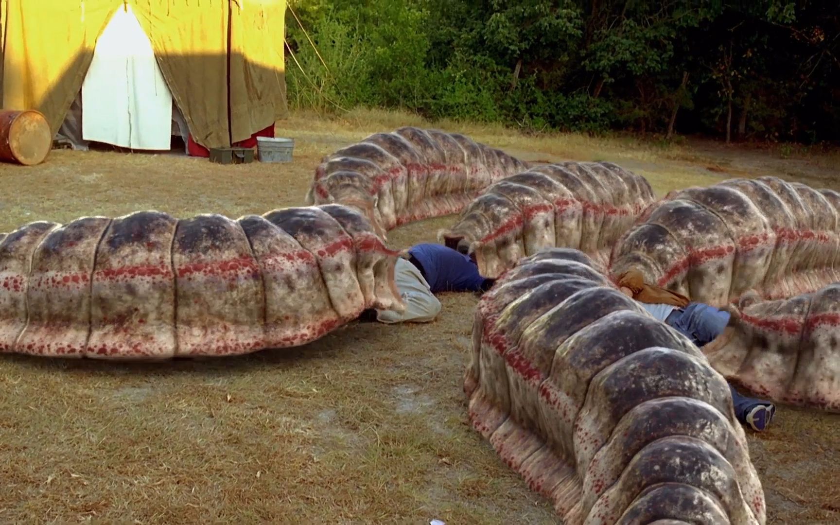 盗挖 成吉思汗陵墓,导致蒙古死亡蠕虫复活,差点吃掉了整个小镇