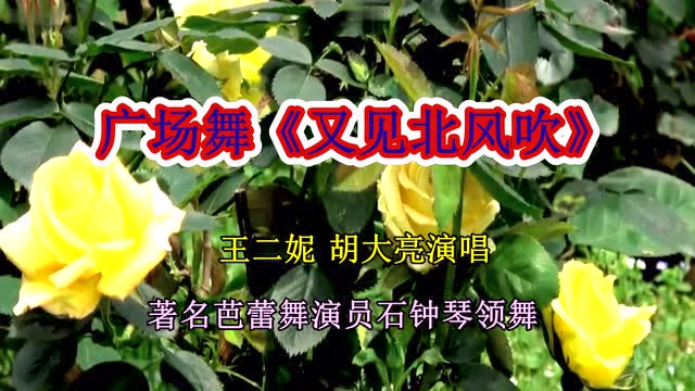 广场舞 《又见北风吹》王二妮 演唱  石钟琴领舞