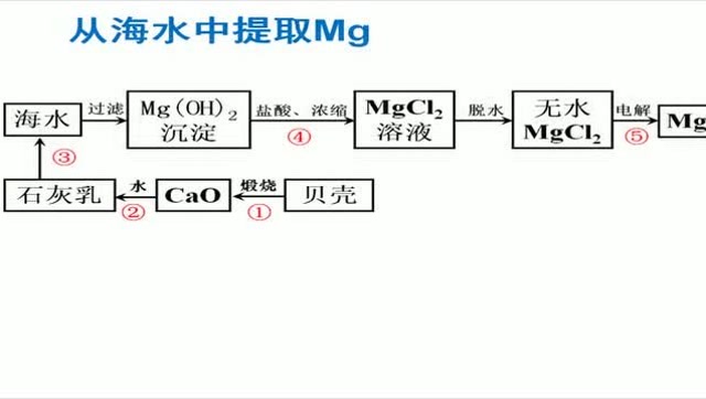 高中化学海水提镁图片