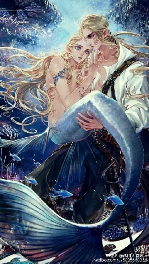 这张图片出自哪里?