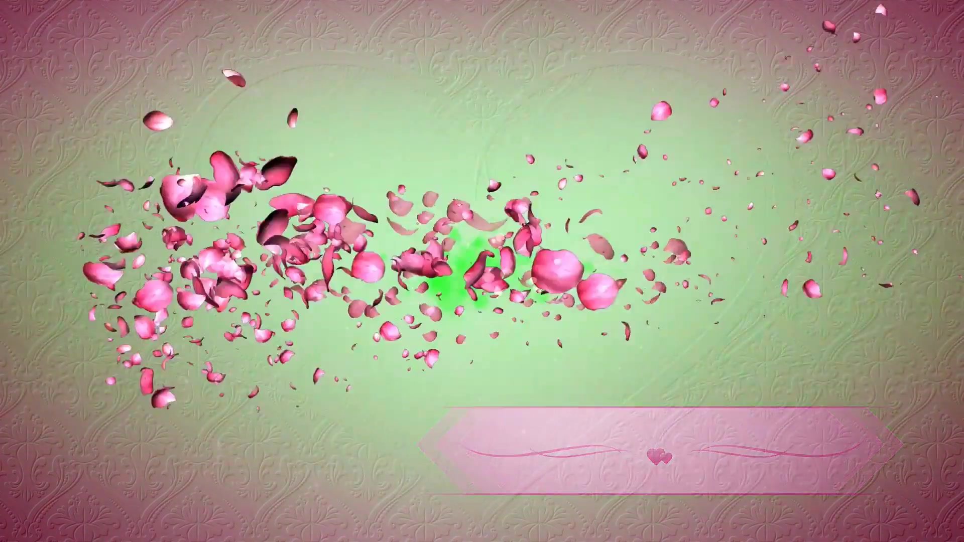 绿幕视频素材玫瑰花瓣转场