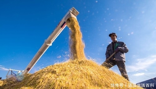 春节前东西涨价