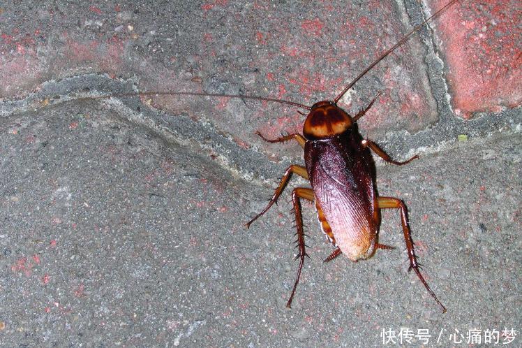 为什么南方的冷是湿冷