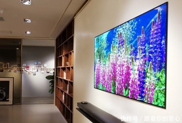 大电视大电视大电视