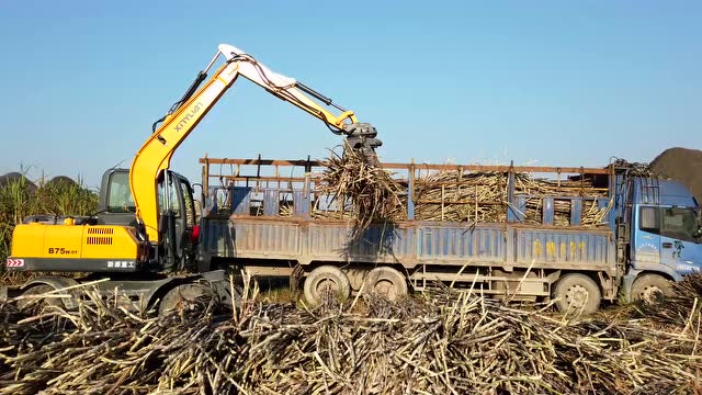 新源轮 式挖掘机甘蔗装车