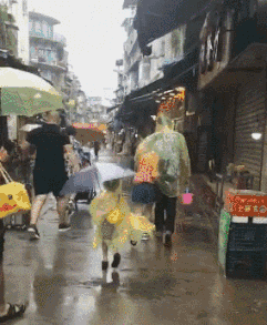 飞机机长飞机班