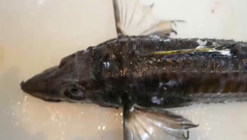 360影视 影视搜索 360影视 影视搜索