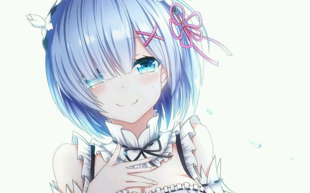 求几张蕾姆的高清电脑壁纸,一定要高清的!