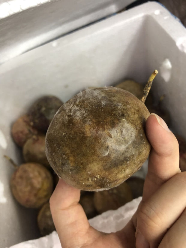 百香果表面张了白毛还能吃吗?