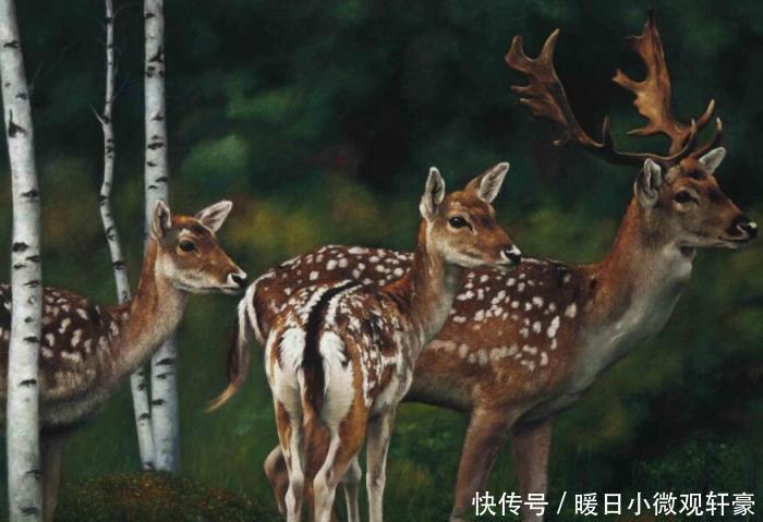 中国贸易战最