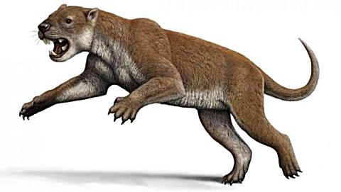 《侏罗纪世界恐龙第309期 袋狮vs板齿犀》儿童游戏 糯米解说