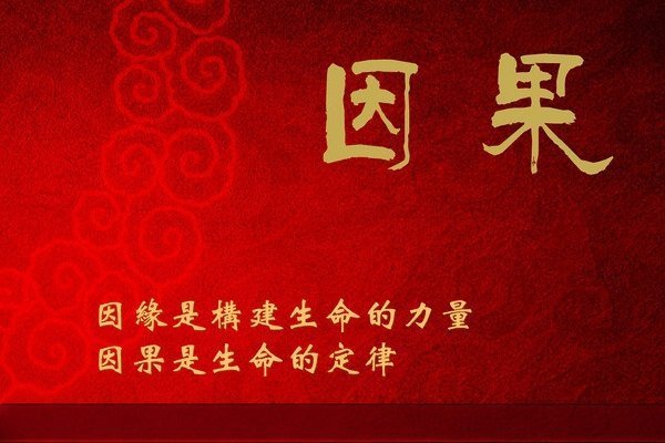 别人怎么对我,是我的因果; 我怎么对别人,是我的修行.怎么理解