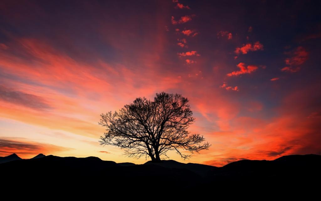 多彩意境夜景[图2]