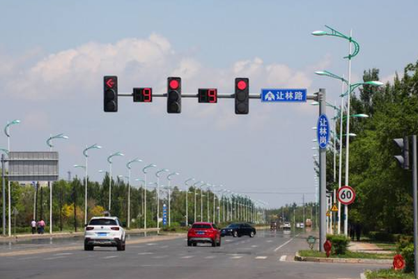 红绿灯有哪些种类?