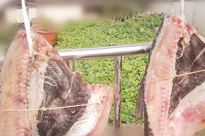 咸鱼做法和技巧