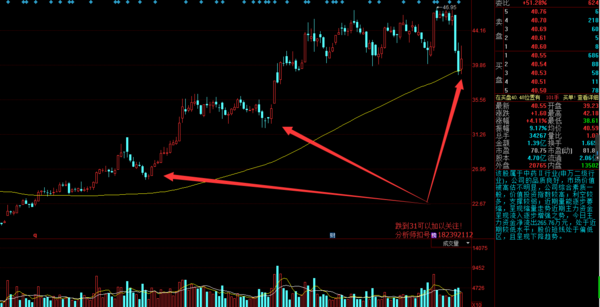 贵州百灵这只股票怎么样