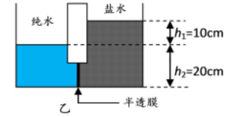 渗透压是指稀溶液和浓溶液的在被半透膜隔开时