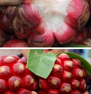 密多罗水果有什么功效